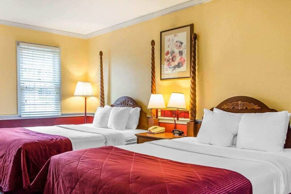 Premium bedding, pillow-top beds, in-room safe, desk