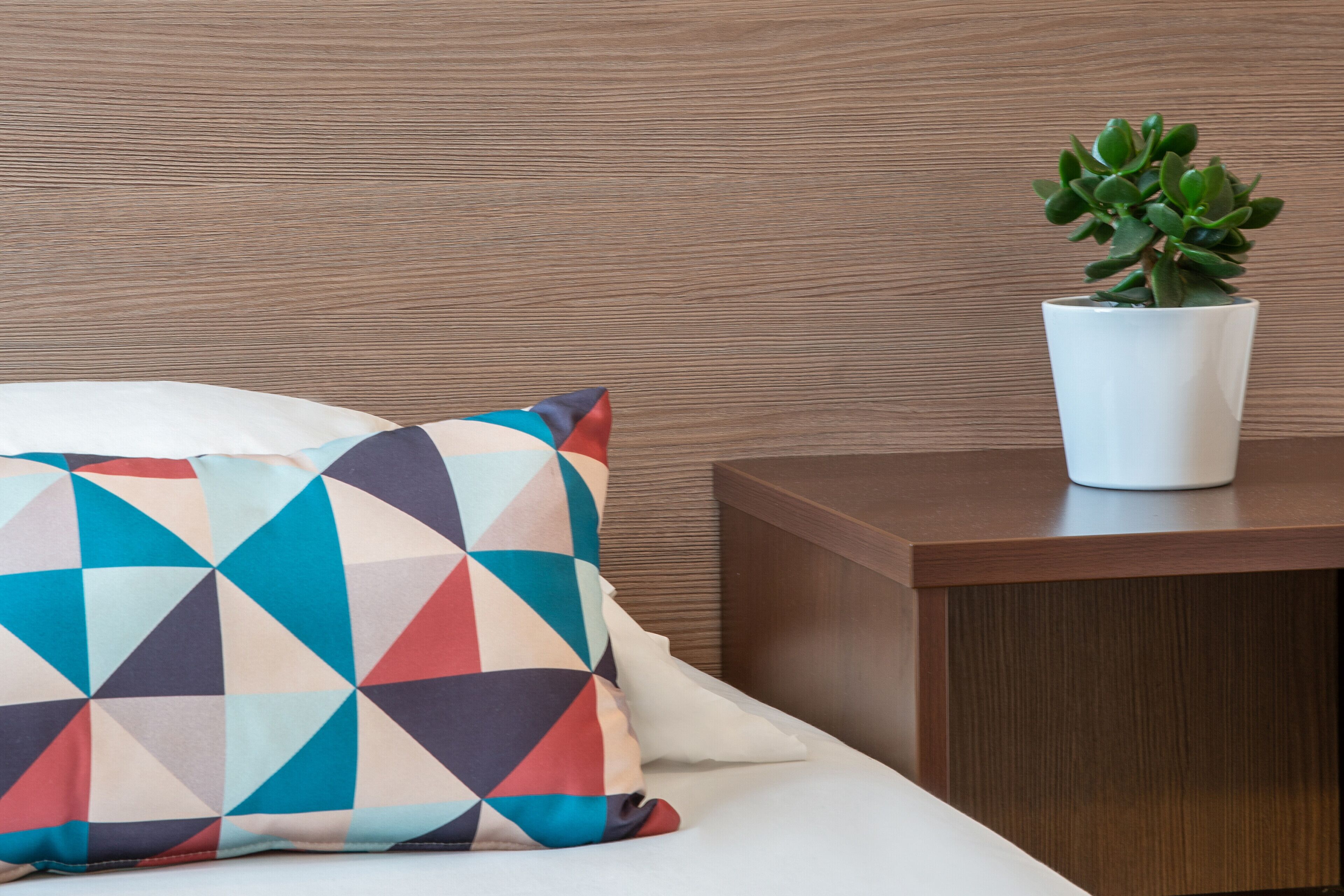 Una cama con un cojín de estampado geométrico y una planta en maceta sobre una mesita de noche de madera.