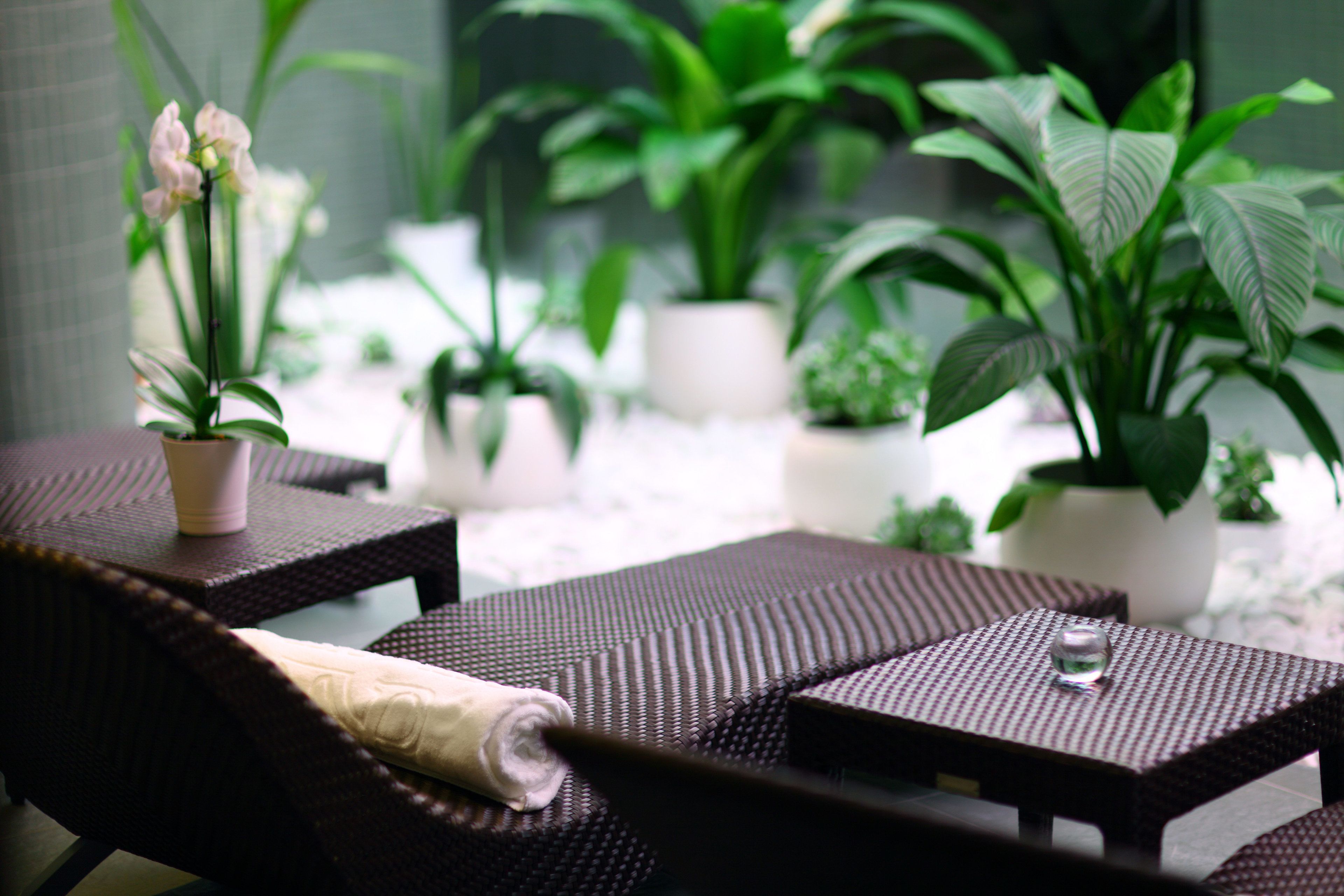 couples treatment room(s), sauna, steam room, turkish bath/hammam