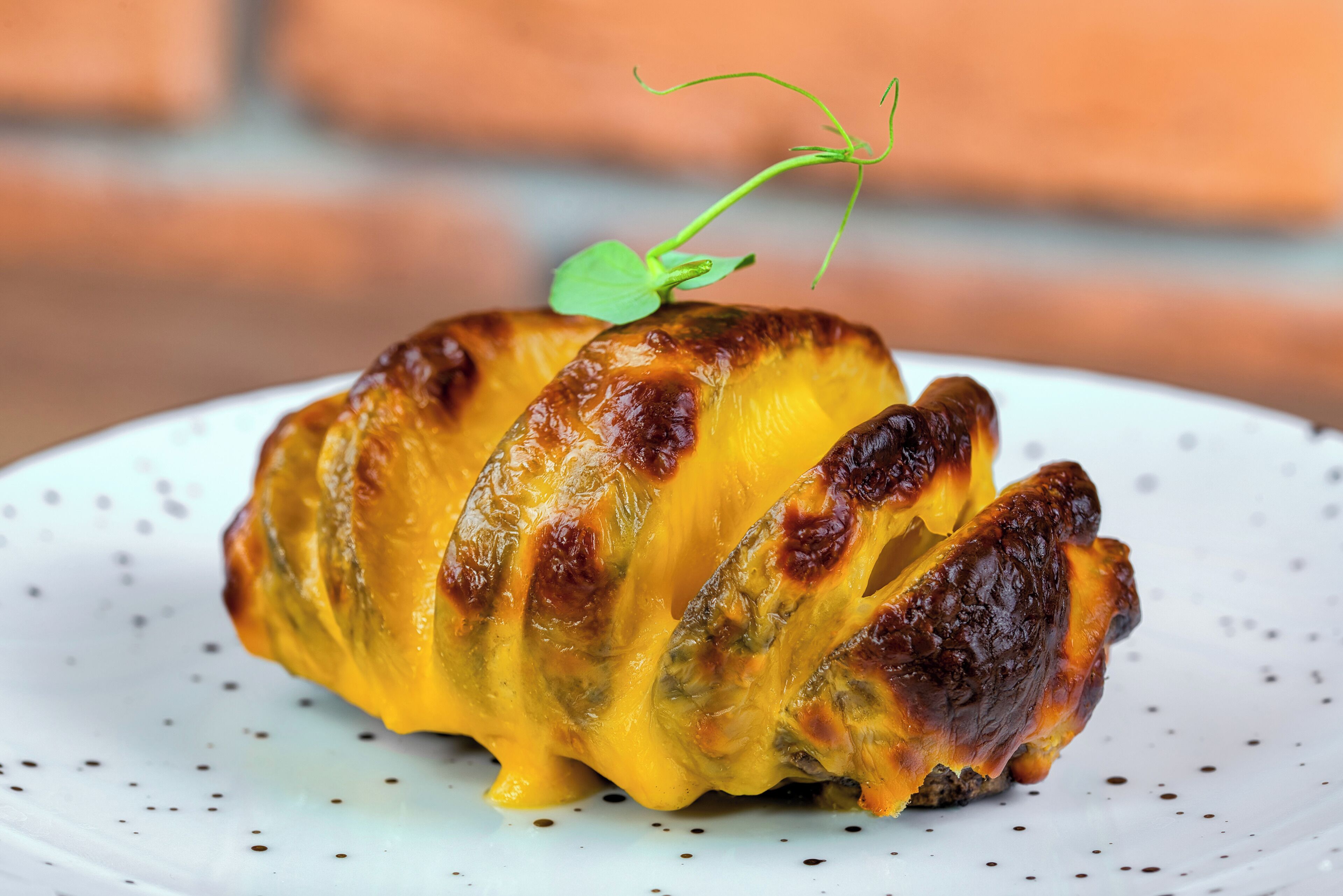 A dish of grilled cheese with a green garnish on a white plate.
