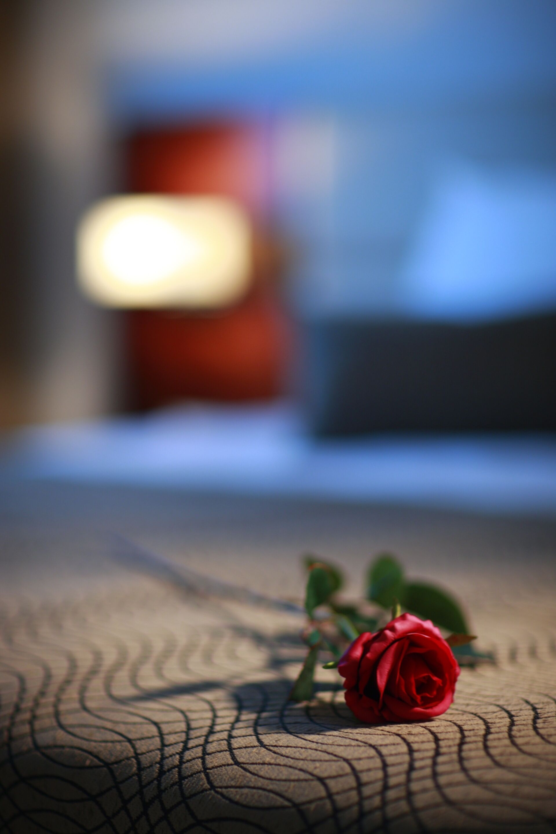 A single red rose on a textured surface with a blurred background.
