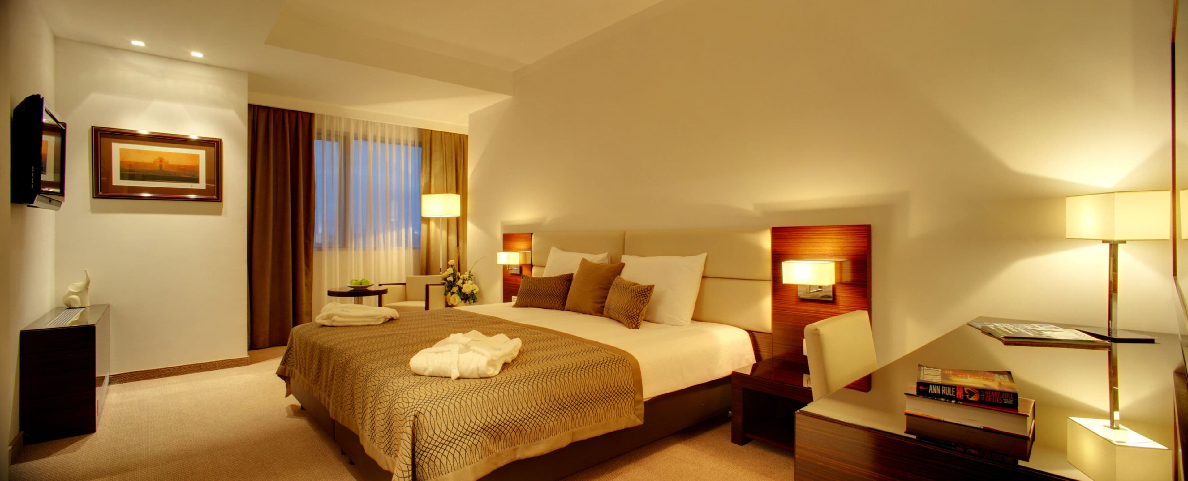 junior studio suite | 1 bedroom, minibar, in-room safe, desk