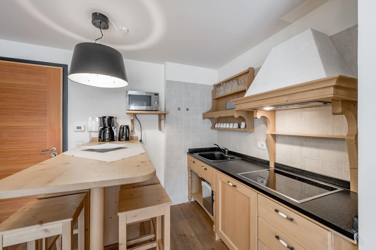 standard apartment, 1 bedroom, kitchen | private kitchen | fridge, microwave, stovetop, dishwasher