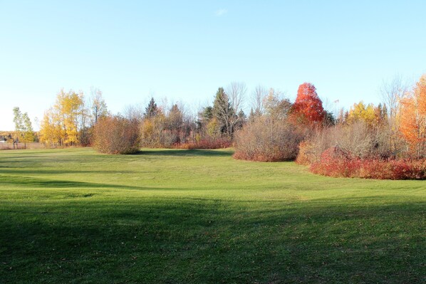 Terrain de l’hébergement 