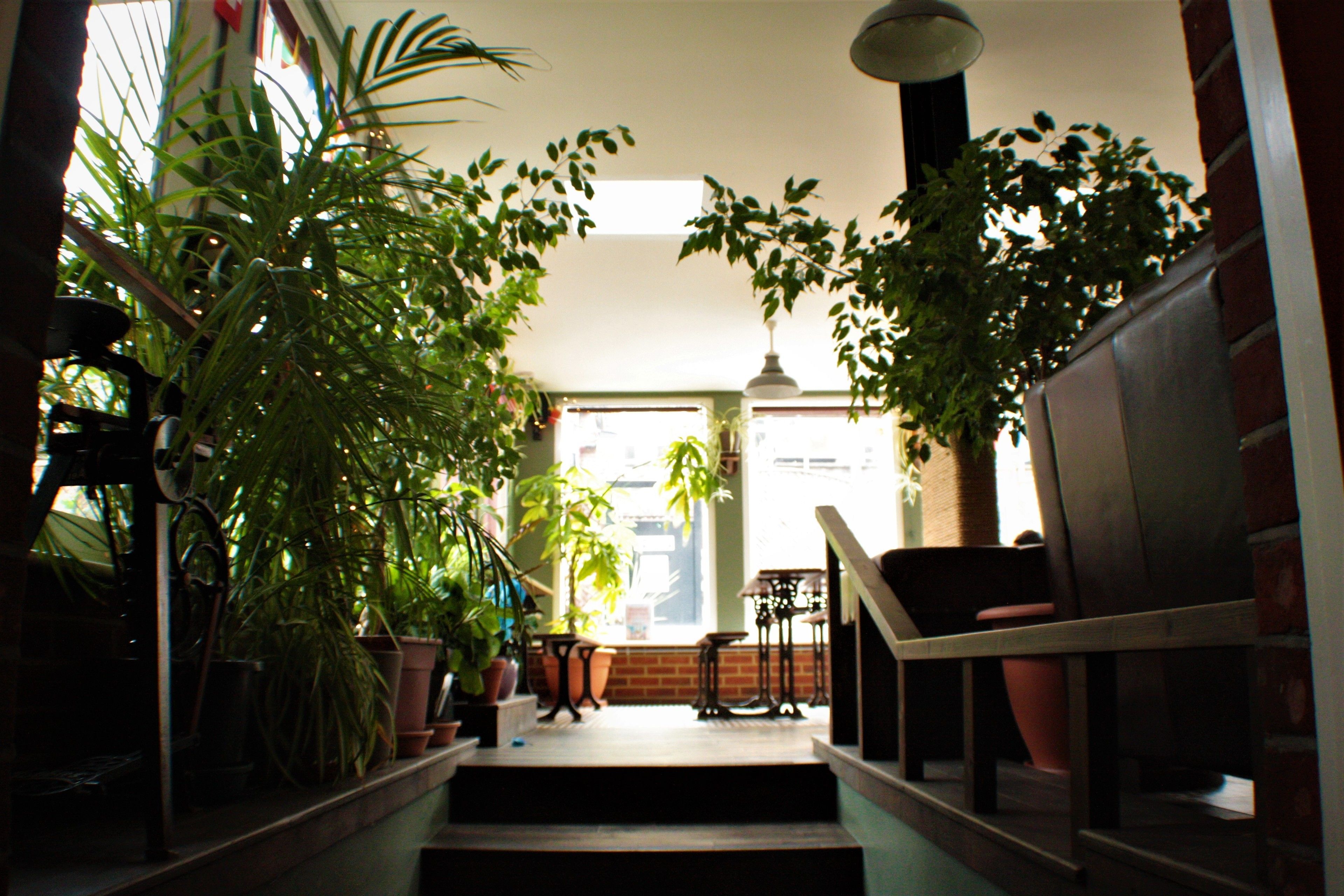 Foto - Palmers Lodge Swiss Cottage