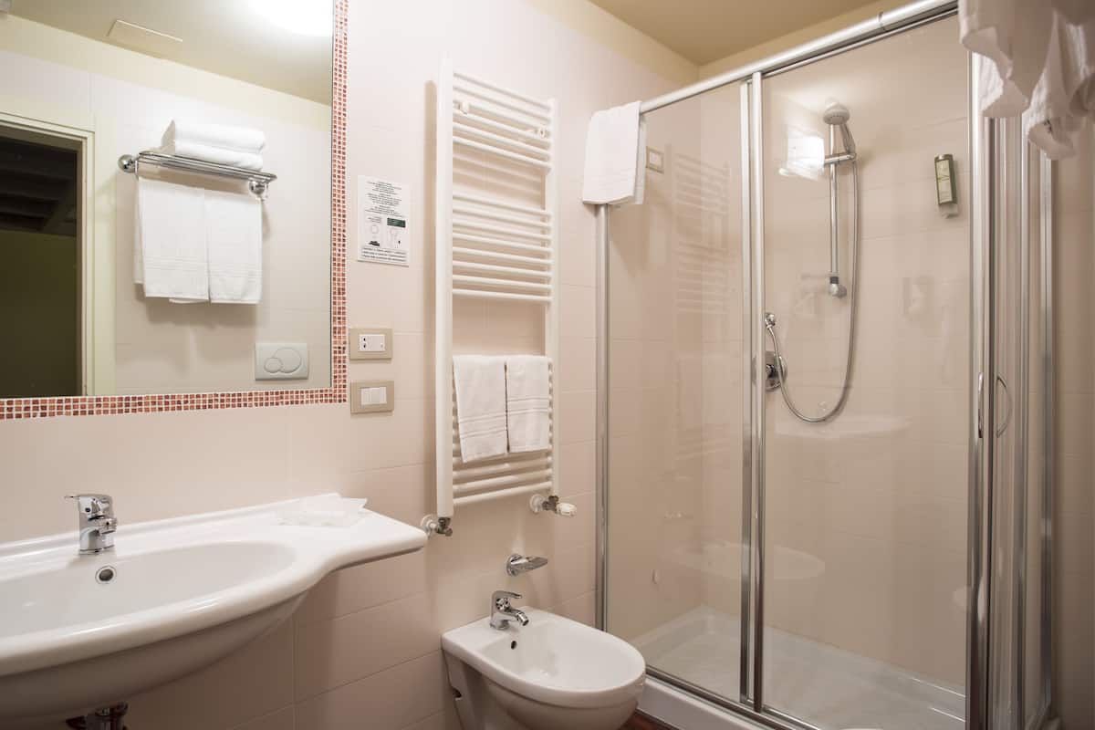 shower, hair dryer, bidet, towels