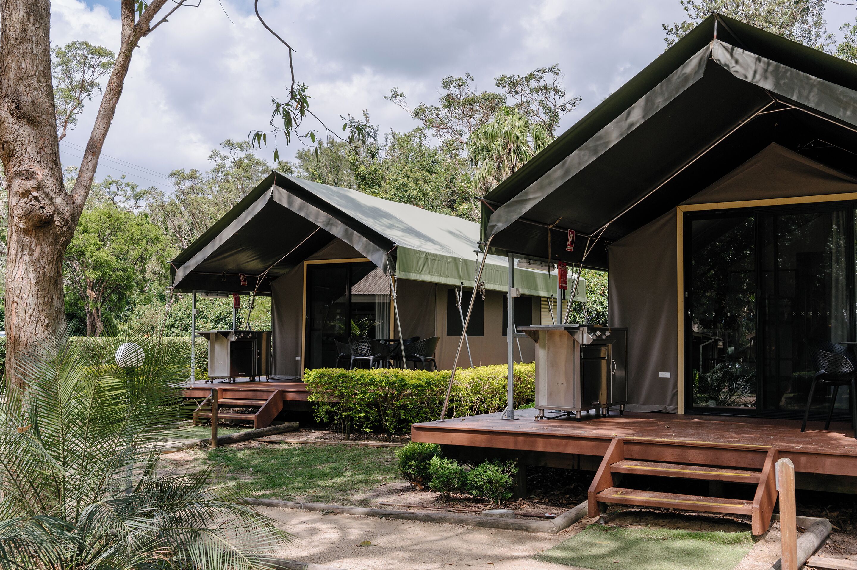 Safari Palm Tent | Terrace/patio