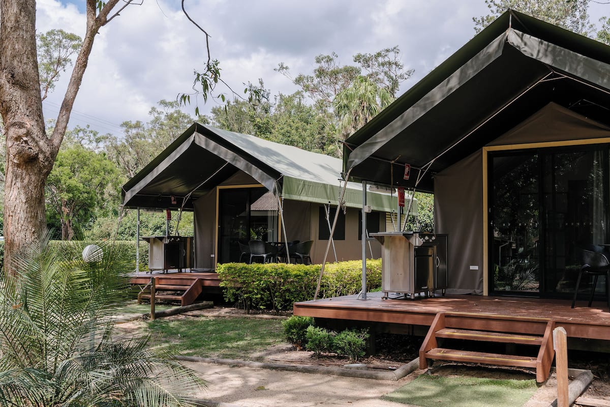 Safari Palm Tent | Terrace/patio