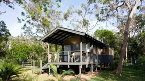 A wooden cabin with a balcony, surrounded by lush greenery and trees. - NRMA Ocean Beach Holiday Resort (Umina Beach)