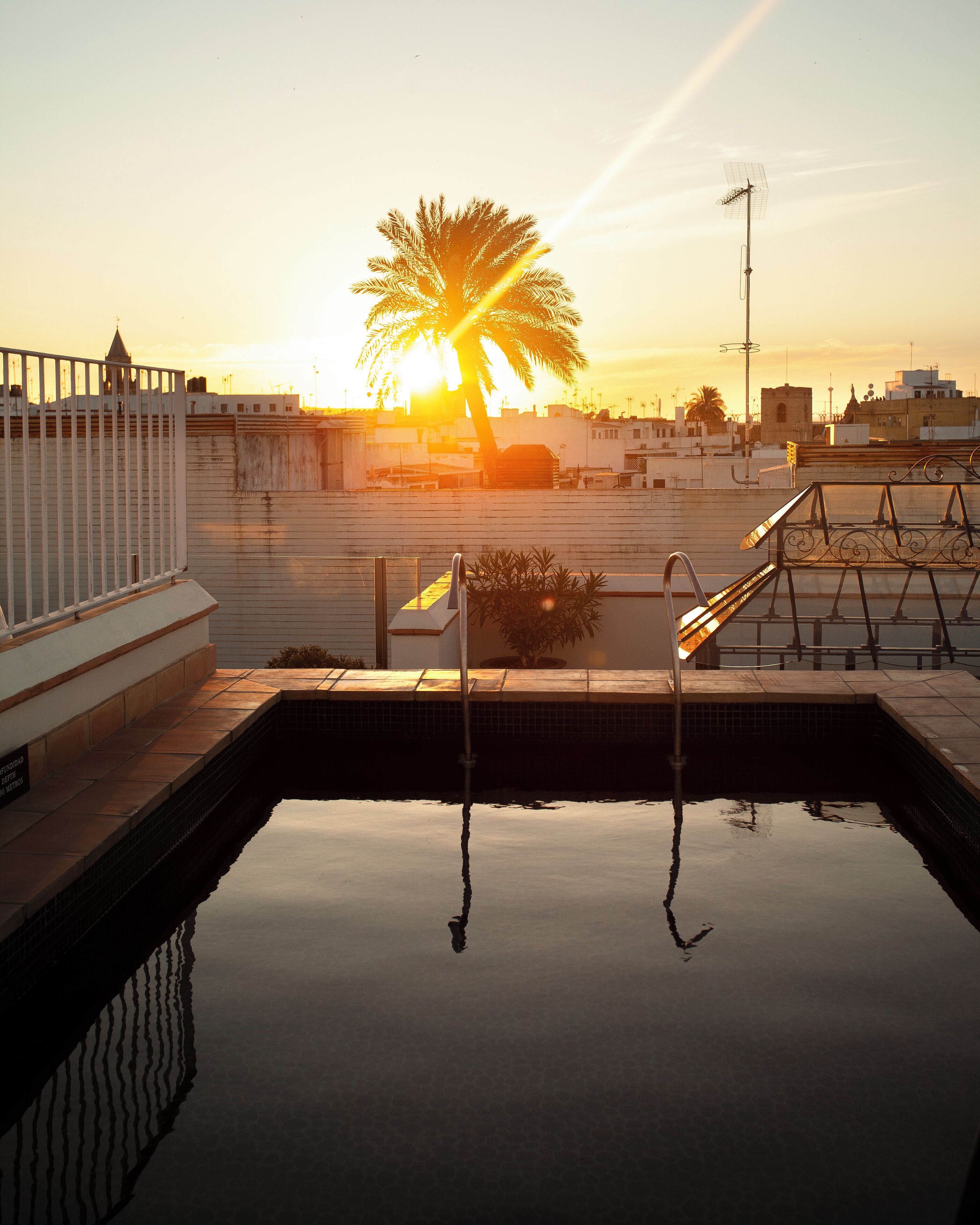 outdoor pool, pool loungers