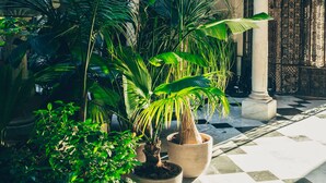 A courtyard with potted plants, a checkered floor, and a decorative door. - CoolRooms Palacio Villapanés 5 GL (Seville)