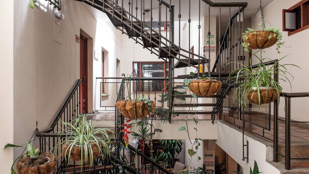 Un interior con varios niveles, una escalera de caracol, macetas colgantes y una gran variedad de plantas de interior.