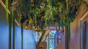 A staircase with wooden steps and a ceiling covered in artificial plants. - Hôtel Le Clos des Arts (Gevrey-Chambertin)
