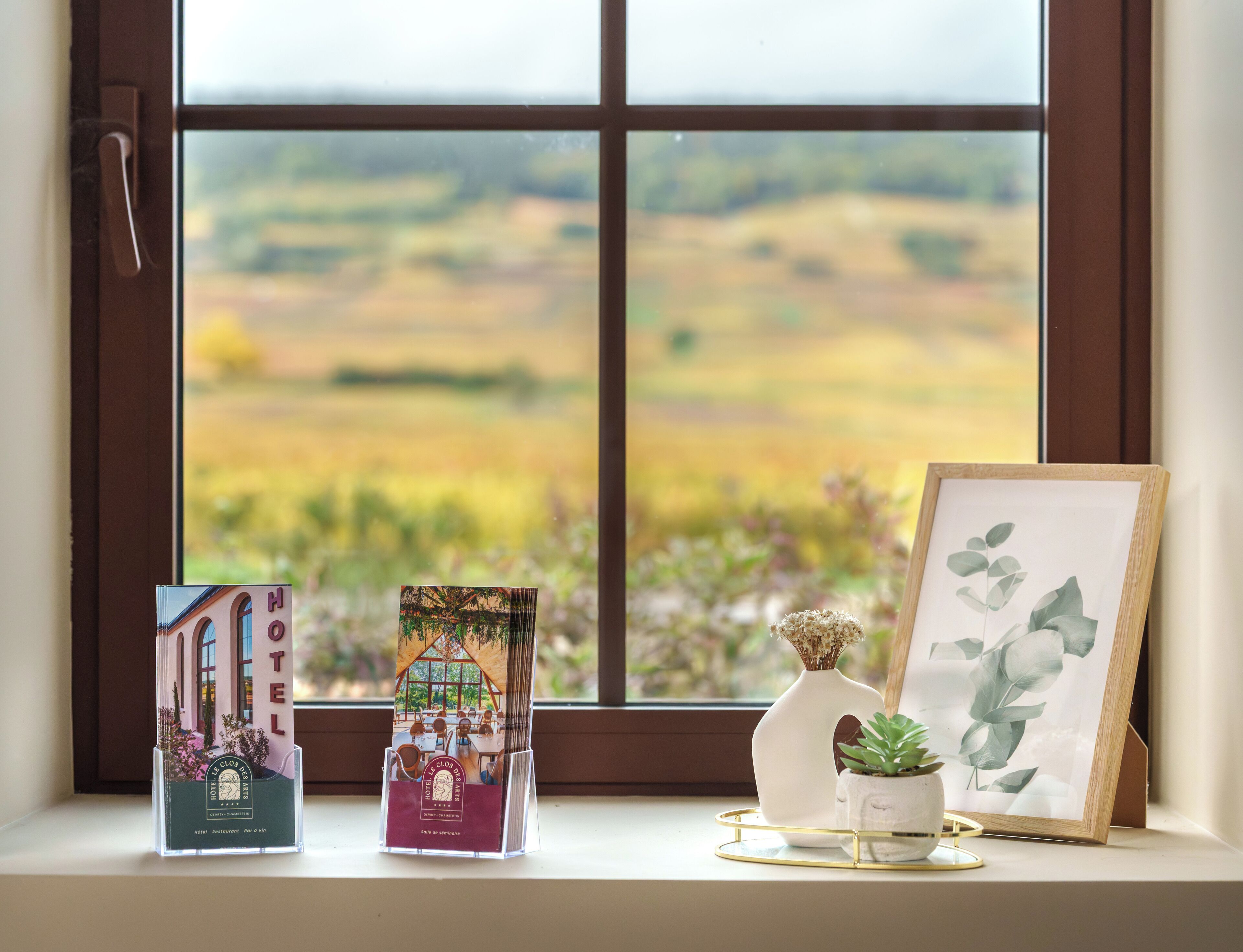 A window with a view of a field, a framed picture, a small potted plant, and two informational cards on a windowsill.