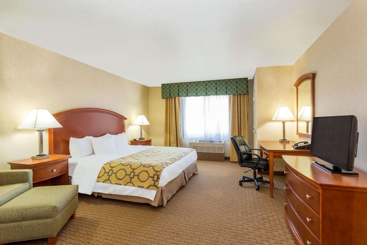 Studio Suite, 1 King Bed, Non Smoking | Egyptian cotton sheets, premium bedding, pillow-top beds, desk