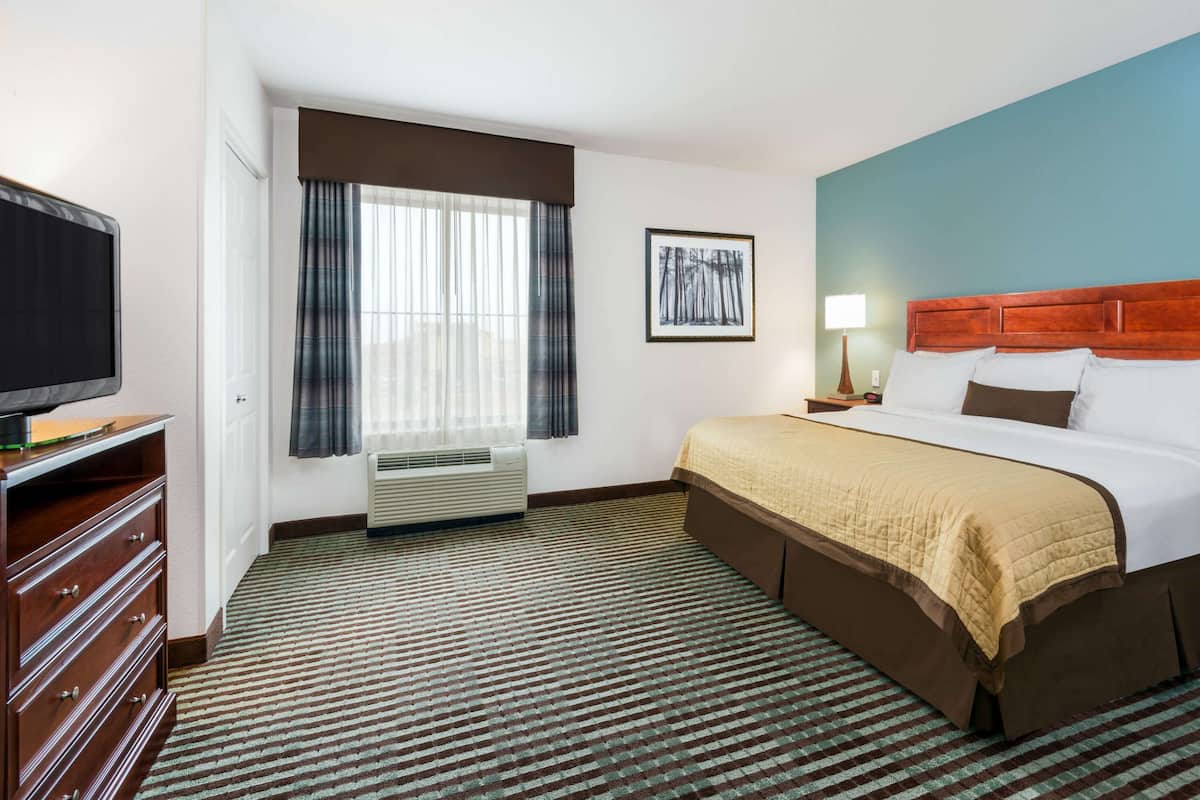 A hotel room with a bed, a TV, a window with curtains, a picture on the wall, and a carpeted floor.