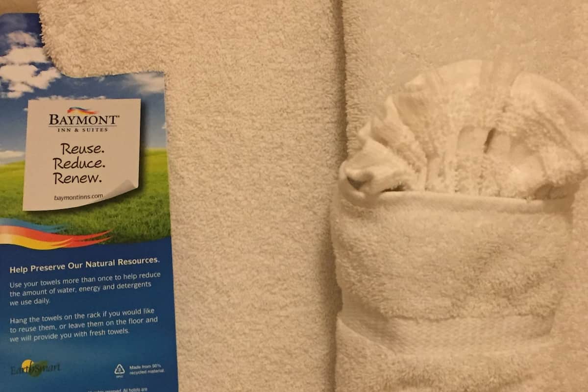 combined shower/bathtub, free toiletries, hair dryer, towels