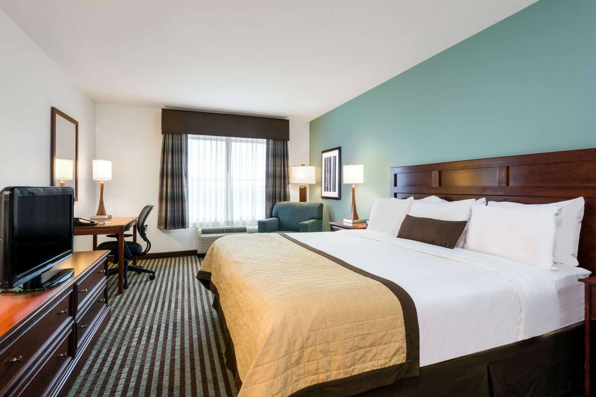 A hotel room with a large bed, a desk with a computer, a TV, and a chair.