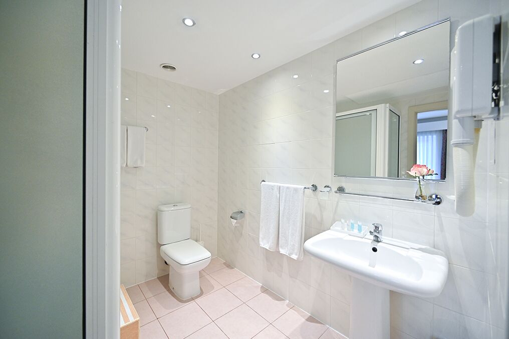 combined shower/bathtub, free toiletries, hair dryer, towels