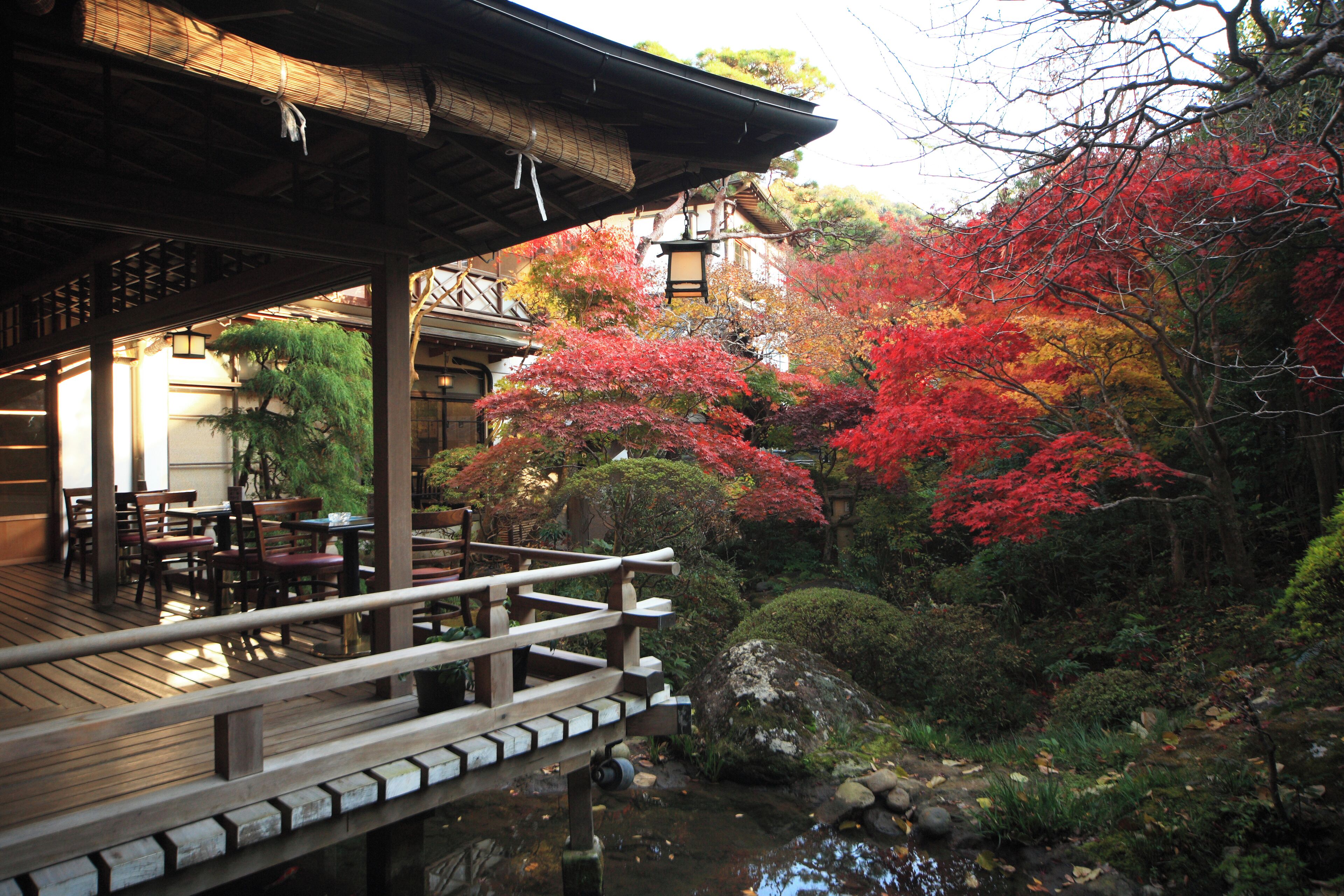 A traditional Japanese garden with a wooden deck and stone lanterns.