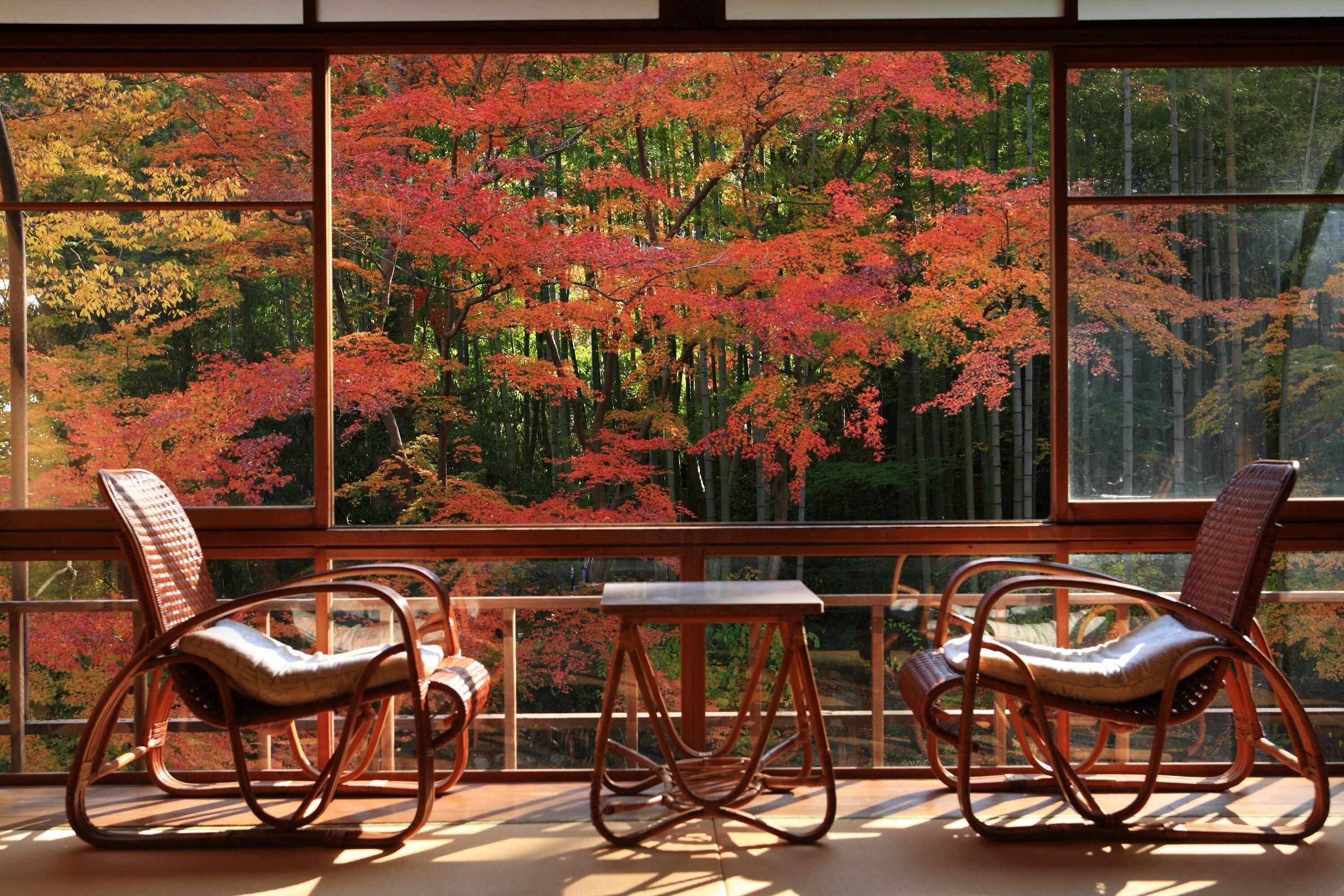 Deluxe-værelse | Udsigt fra værelset