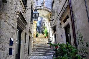A narrow stone staircase leading to a building entrance, flanked by potted plants and a street lamp.