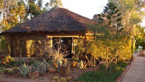 A rustic building with a thatched roof, surrounded by a variety of cacti and desert plants. - Inverdoorn Private Game Reserve (Breede River)