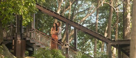 A wooden bridge with metal railings, surrounded by lush greenery and trees.