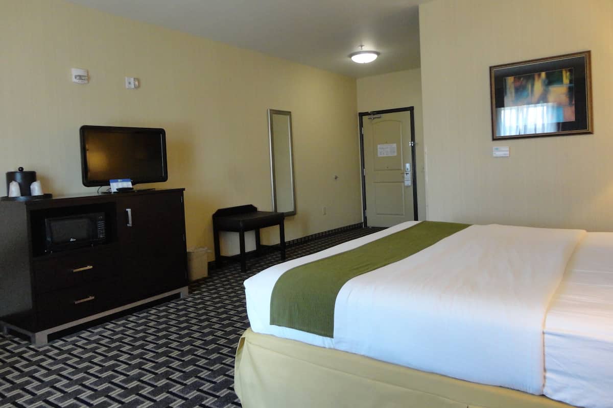 Standard Room, 1 King Bed, Accessible (Mobility Tub) | In-room safe, desk, iron/ironing board, free cribs/infant beds