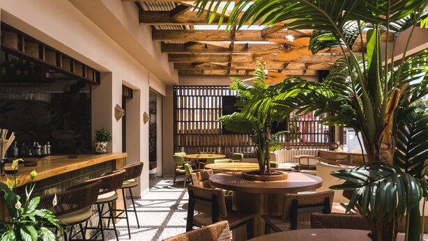 A spacious indoor area with a bar, multiple seating arrangements, and large potted plants. - Canadian (Zakynthos)