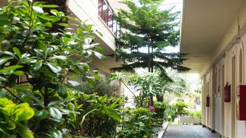 Jardín
