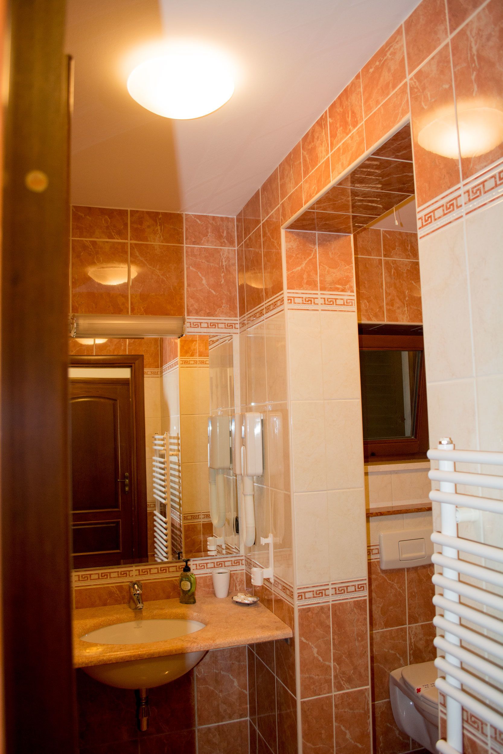 A bathroom with a sink, mirror, and toilet.