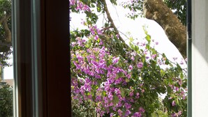 A view through a window of a garden with purple flowers and a wooden fence. - Villa Lavandula (Trogir)