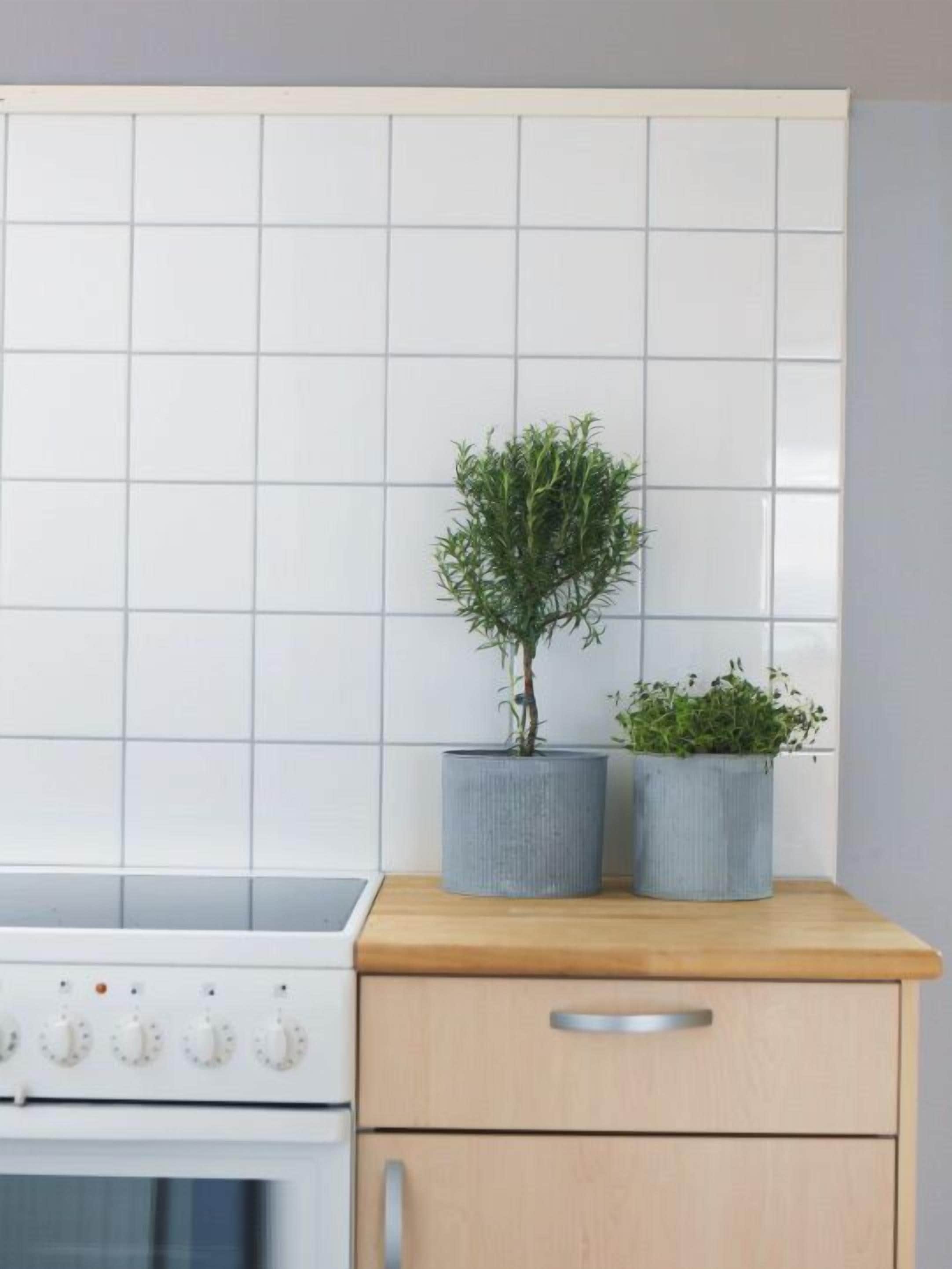 Cocina con salpicadero de azulejos blancos, estufa y dos plantas en macetas sobre una encimera de madera.