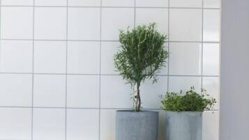 Cocina con salpicadero de azulejos blancos, estufa y dos plantas en macetas sobre una encimera de madera.