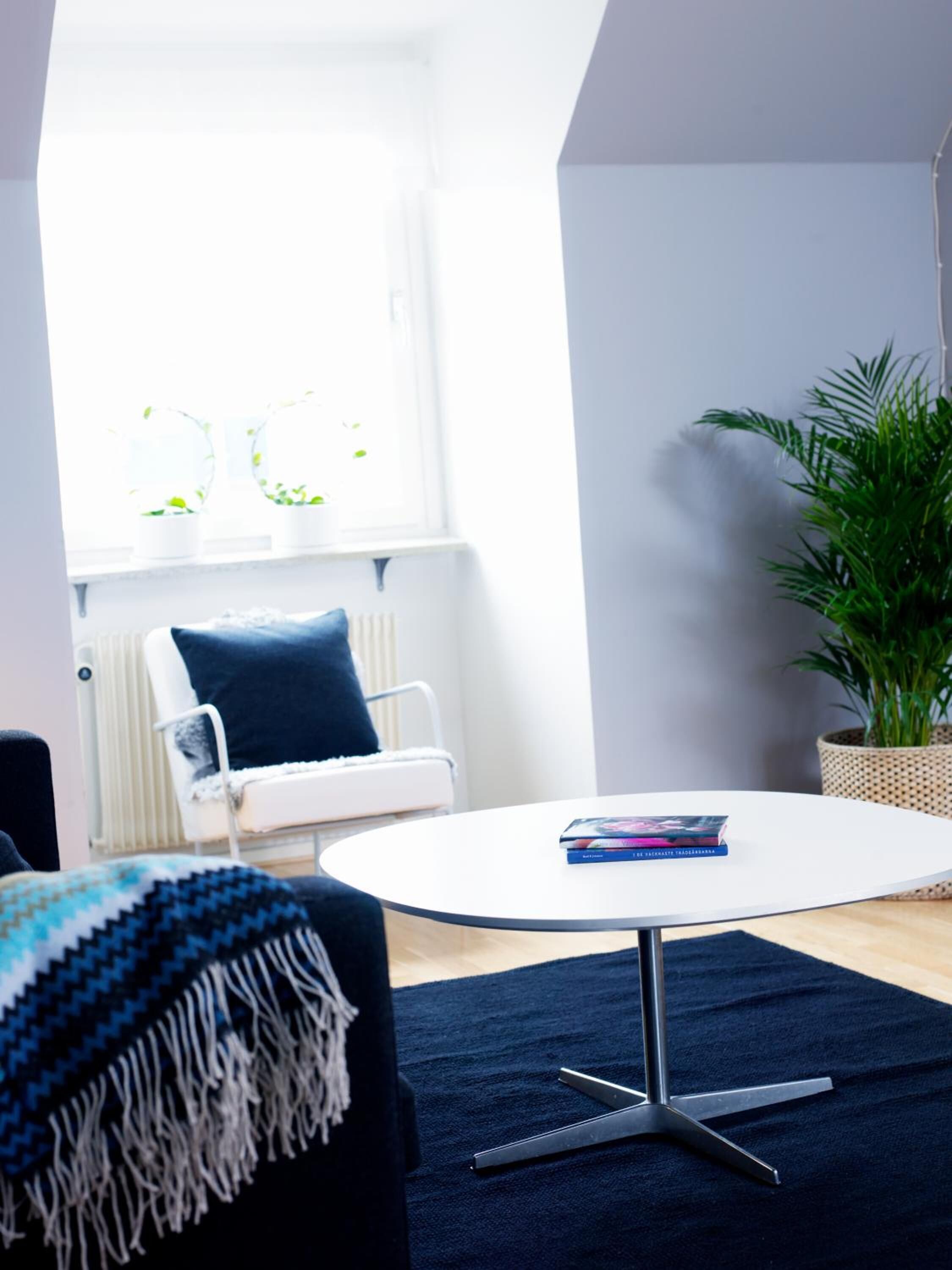 Un salón moderno con una mesa redonda blanca, un sofá azul y un amplio ventanal con plantas.