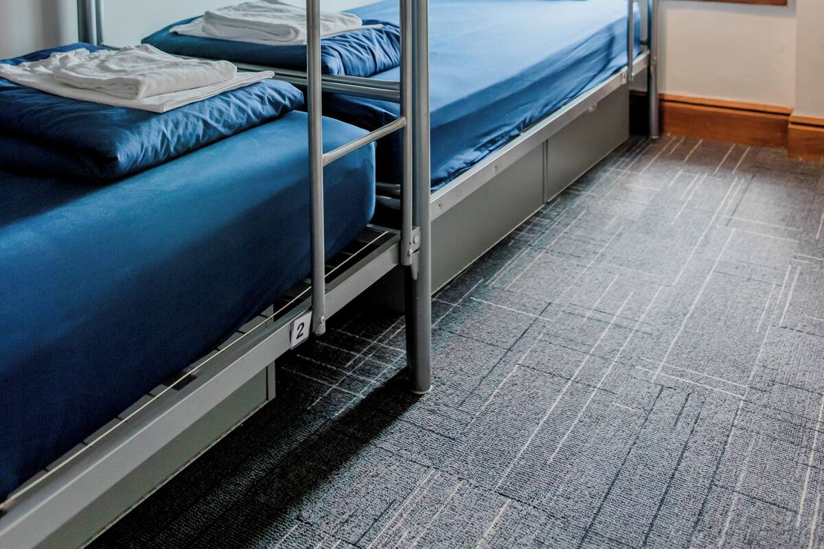 Habitación con literas, ventana, lámpara colgante y suelo alfombrado.