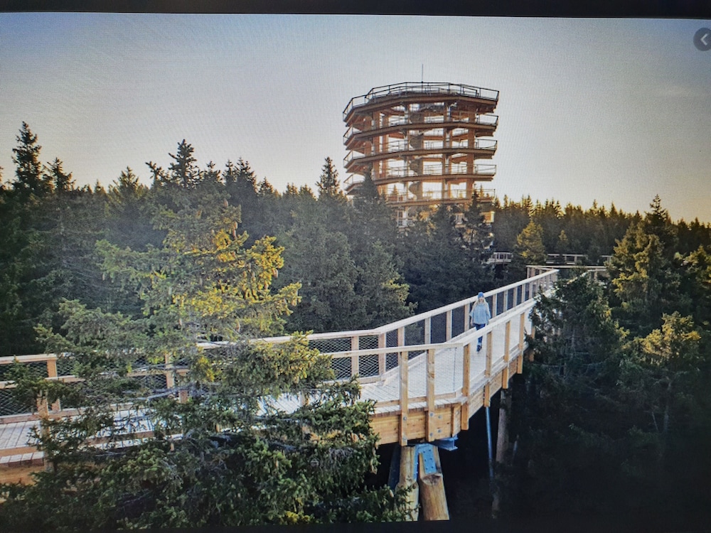 Garni Hotel Zvon by null