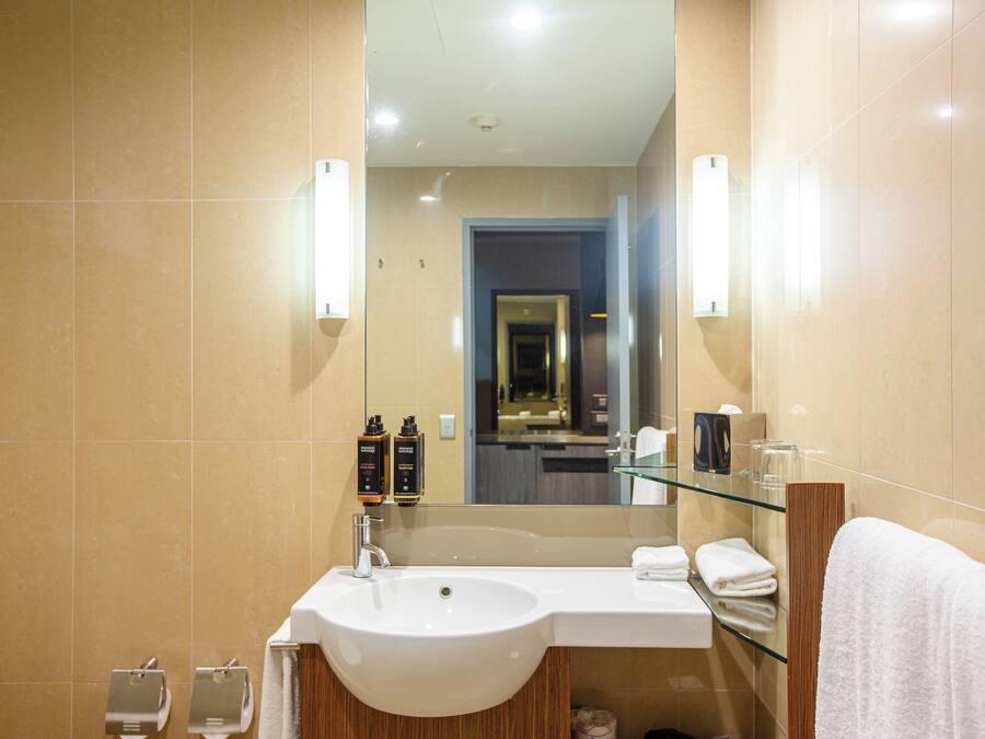 Une salle de bain moderne avec un grand lavabo, un miroir et une étagère en verre.