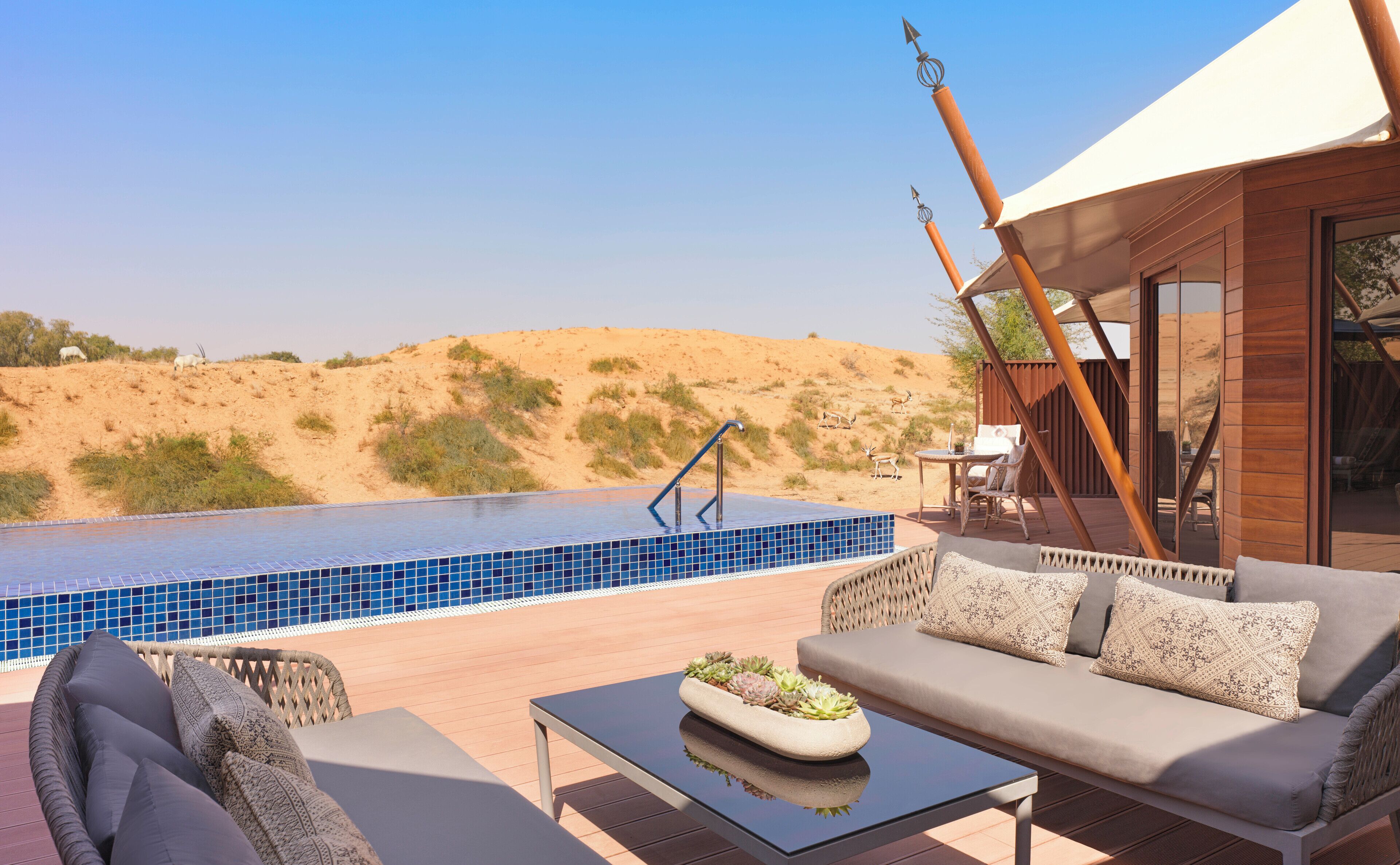 Un área de piscina con vistas al desierto, un sofá y una mesa con un centro de mesa decorado con plantas.
