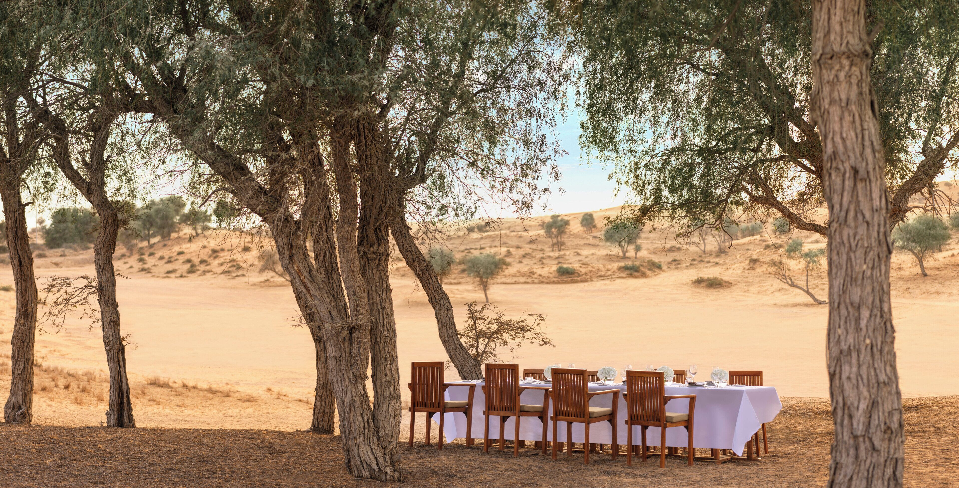 A desert setting with a table set for dining under trees.