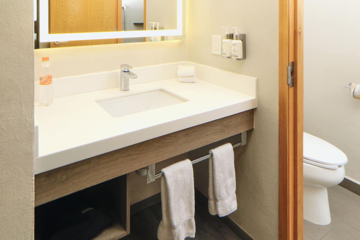 shower, rainfall showerhead, free toiletries, hair dryer