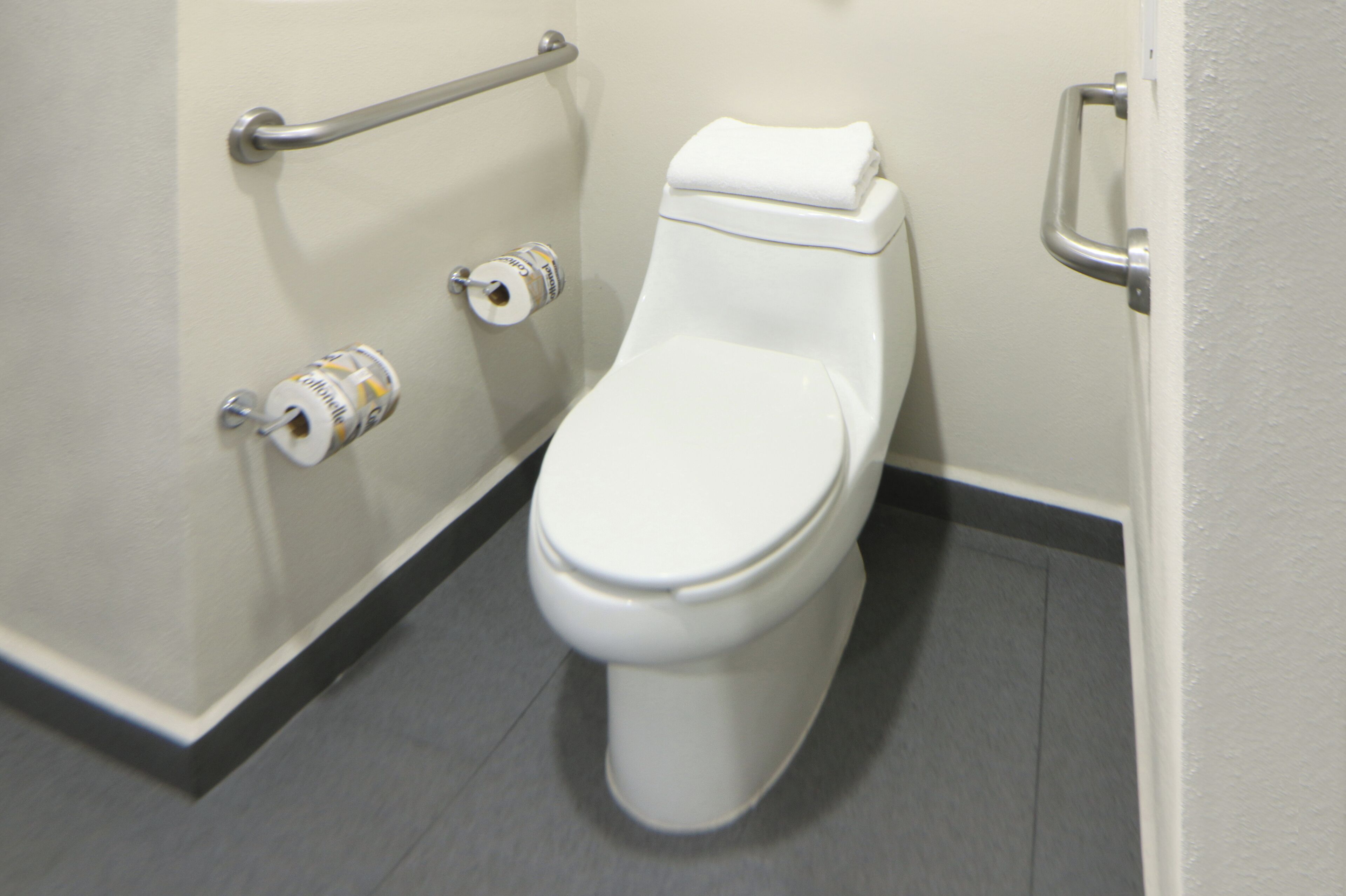 room, 1 king bed, accessible | bathroom | shower, rainfall showerhead, free toiletries, hair dryer