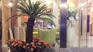 A reception area with a palm tree, a large vase of flowers, and a green chair.