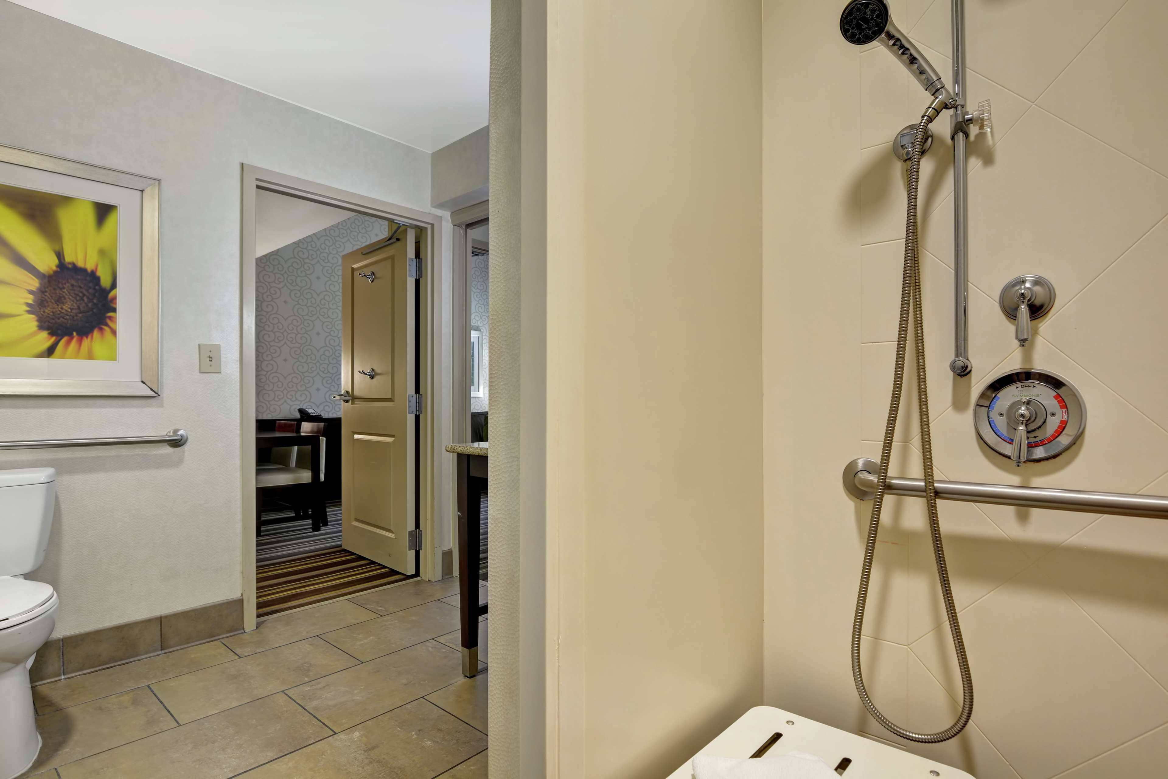 A bathroom with a shower, toilet, and a framed picture on the wall.