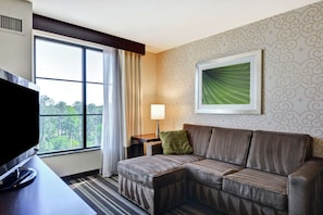 Suite, One King Bed, Accessible