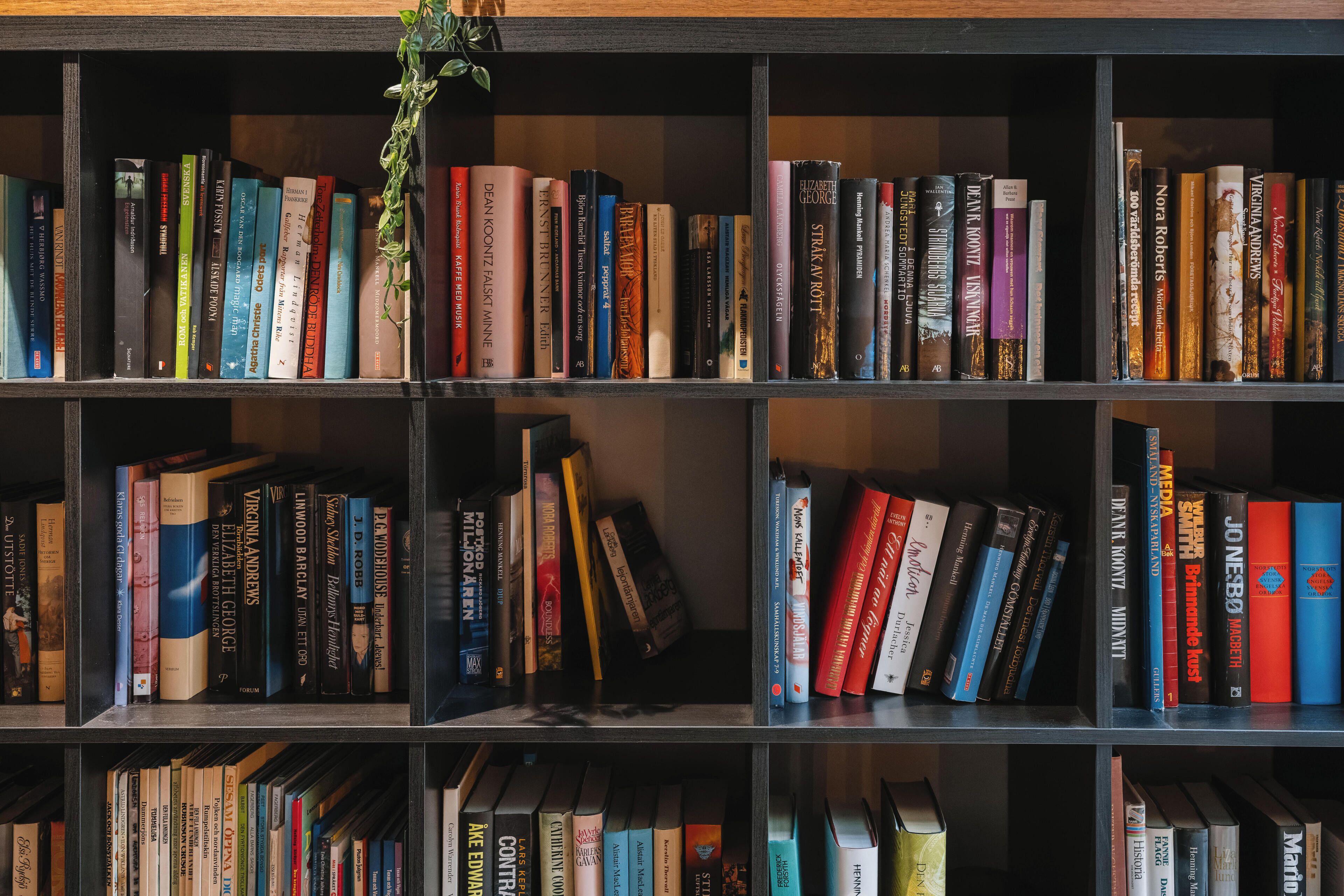 A bookshelf with various books, some with visible titles and authors.
