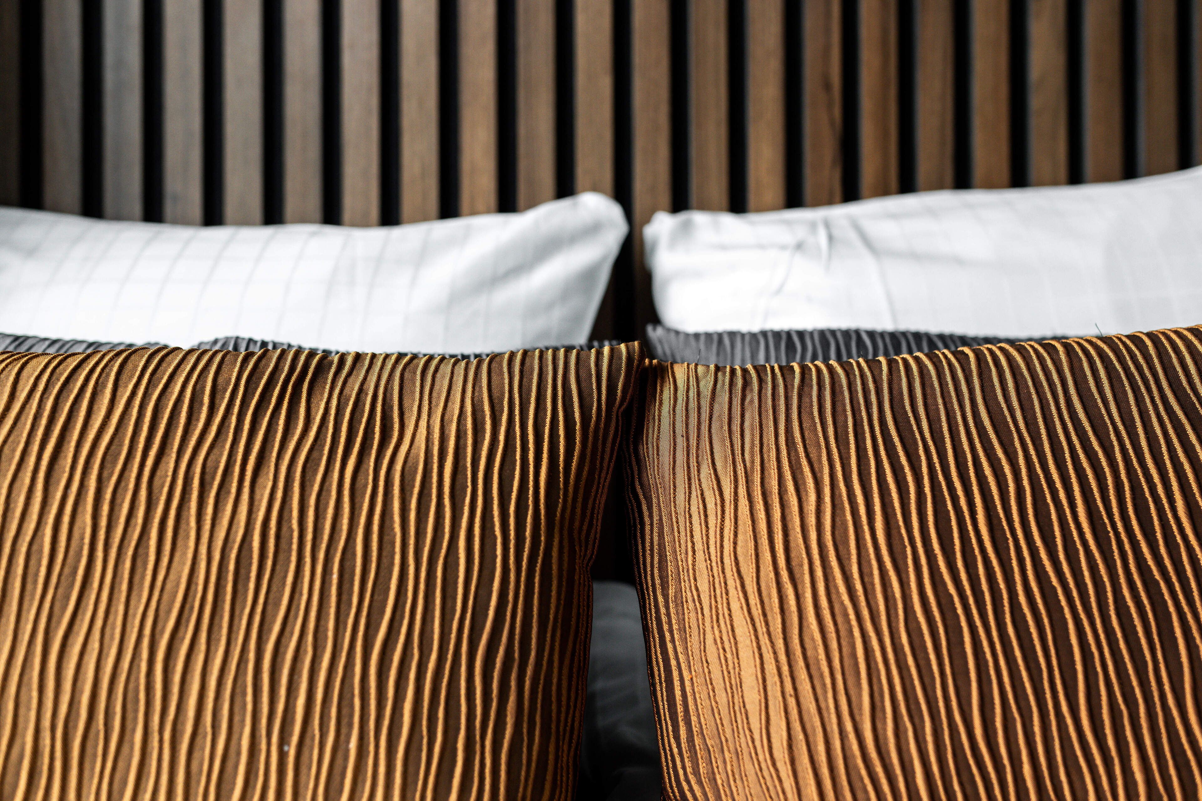 Photo - Dream - Luxury Hostel