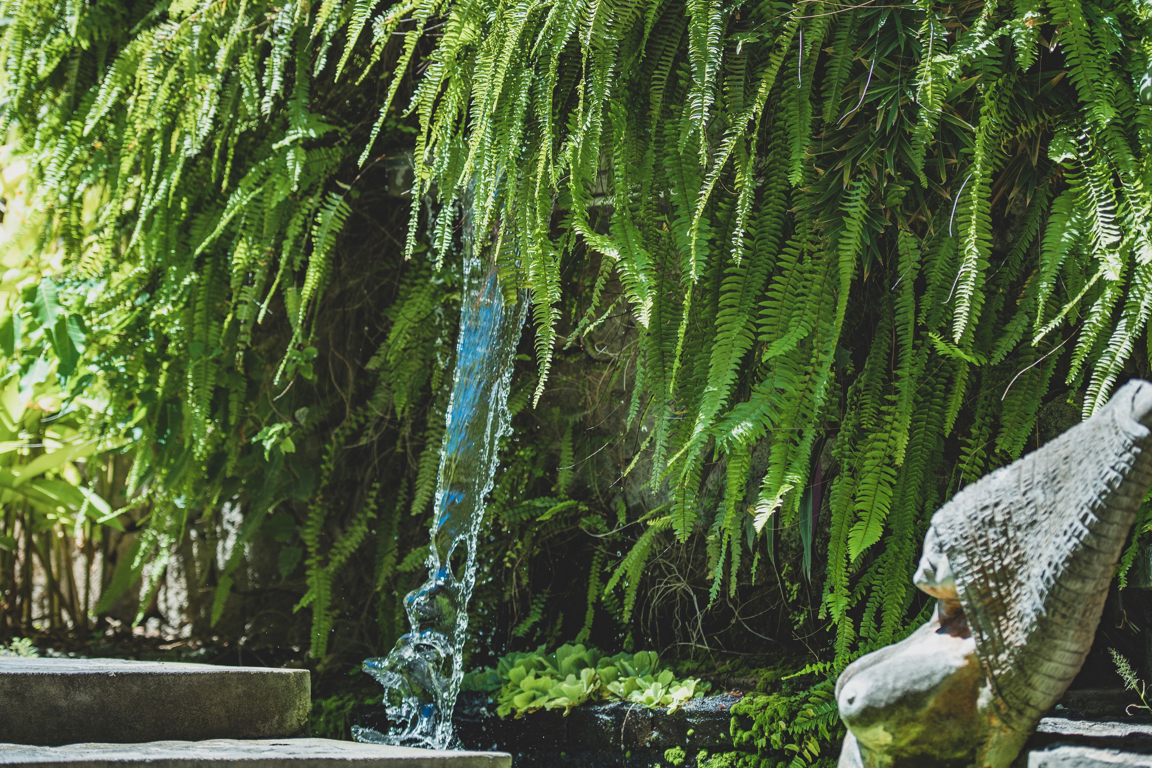 Foto - Aanari Hotel & Spa- Mauritius