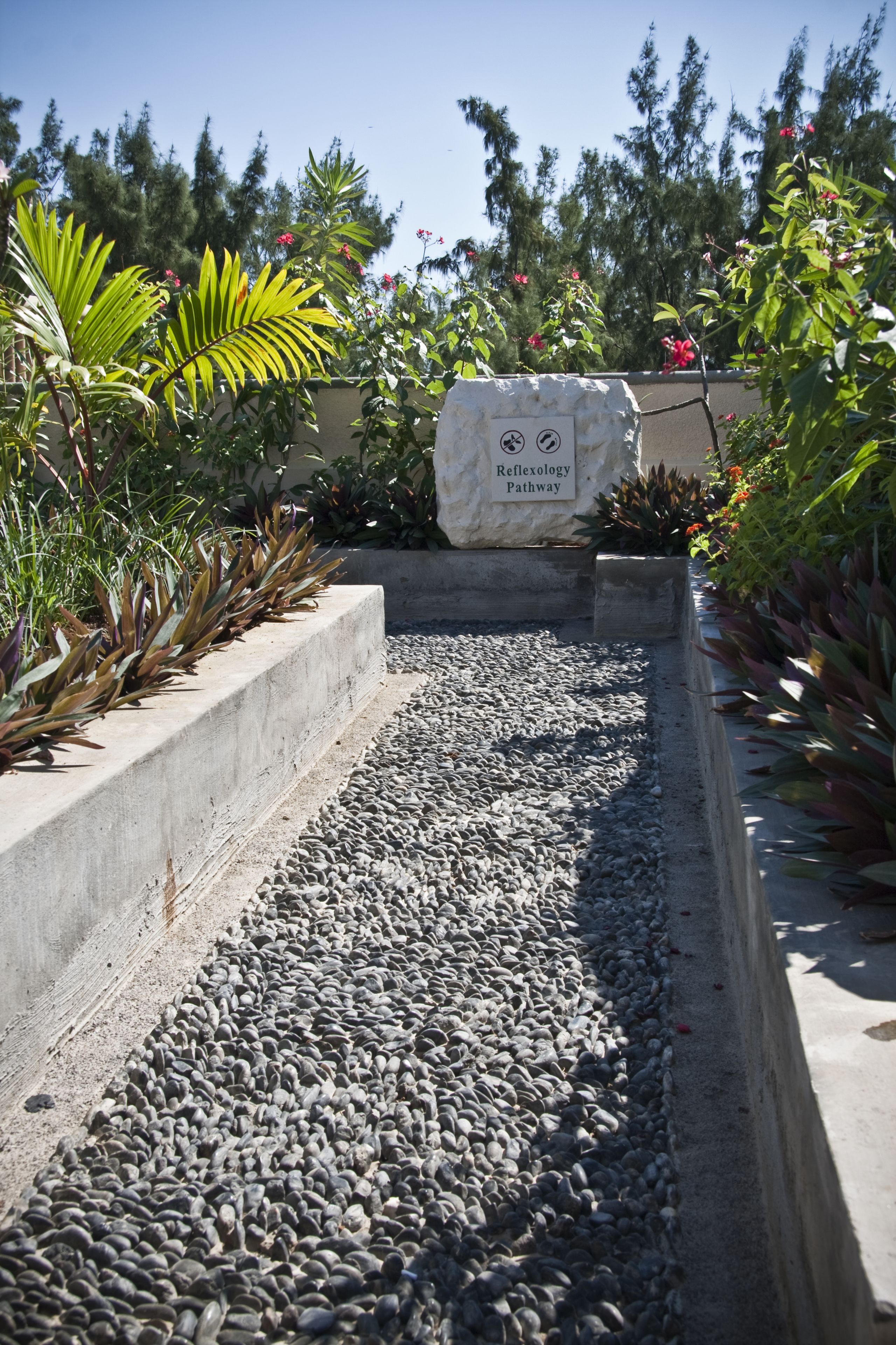 A pathway with a sign reading "Reflexology Pathway" surrounded by plants and trees.